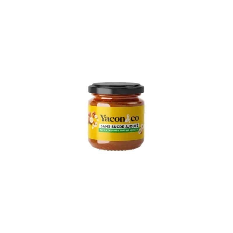 PATE A TARTINER YACON PRALINE NOISETTE BIO PATE A TARTINER YACON PRALINE NOISETTE BIO