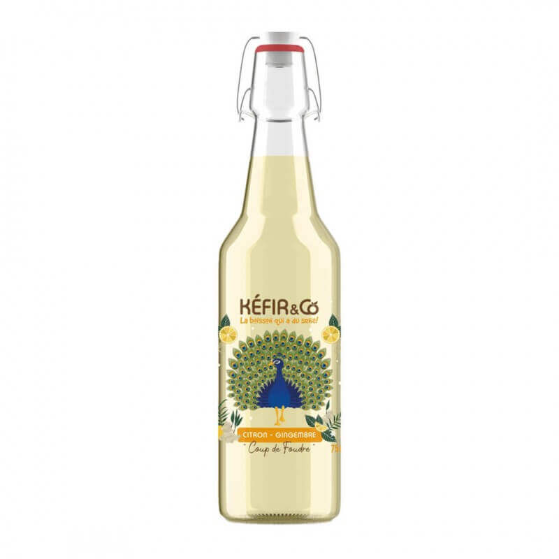 KEFIR CITRON GINGEMBRE BIO KEFIR CITRON GINGEMBRE BIO