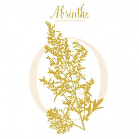 ARTEMISIA ABSINTHE ARTEMISIA ABSINTHE