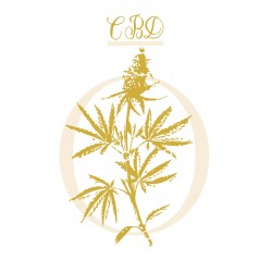 CANNABIS CBD