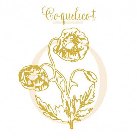 COQUELICOT