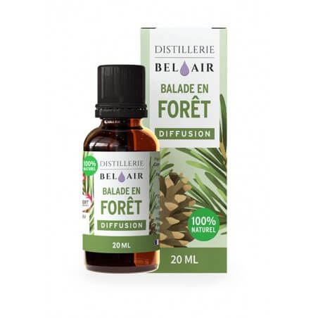 DIFFUSION BALADE EN FORET DIFFUSION BALADE EN FORET