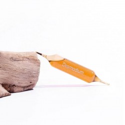 DESMODIUM AMPOULES 2