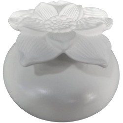 DIFFUSEUR FLEUR CAPILLARITE