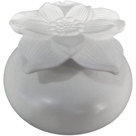 DIFFUSEUR FLEUR CAPILLARITE