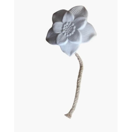 FLEUR DIFFUSEUR CAPILLARITE FLEUR DIFFUSEUR CAPILLARITE
