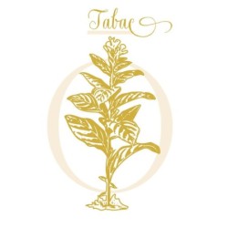 TABAC 2