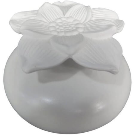 DIFFUSEUR FLEUR CAPILLARITE