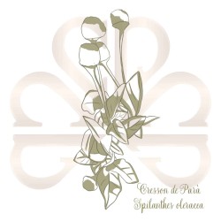 LIVRE MILLE REMEDES + 2 SEMENCES 2