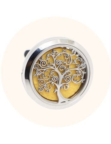 DIFFUSEUR POUR VOITURE 2