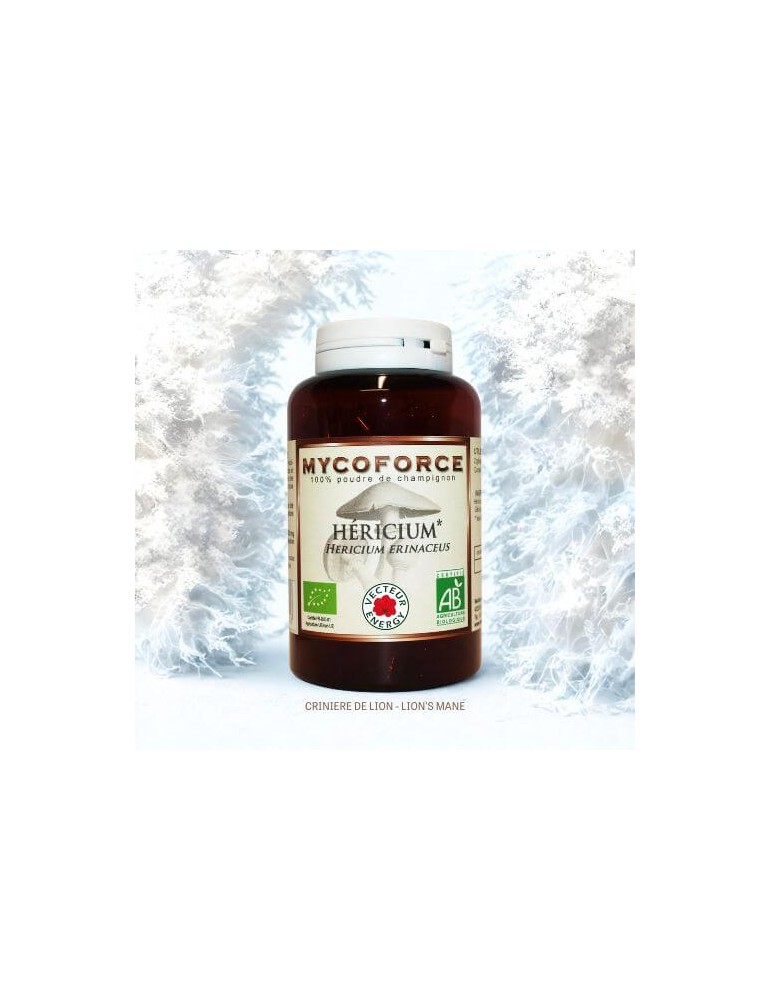 HERICIUM - CRINIERE DE LION - LIONS MANE BIO HERICIUM - CRINIERE DE LION - LIONS MANE BIO