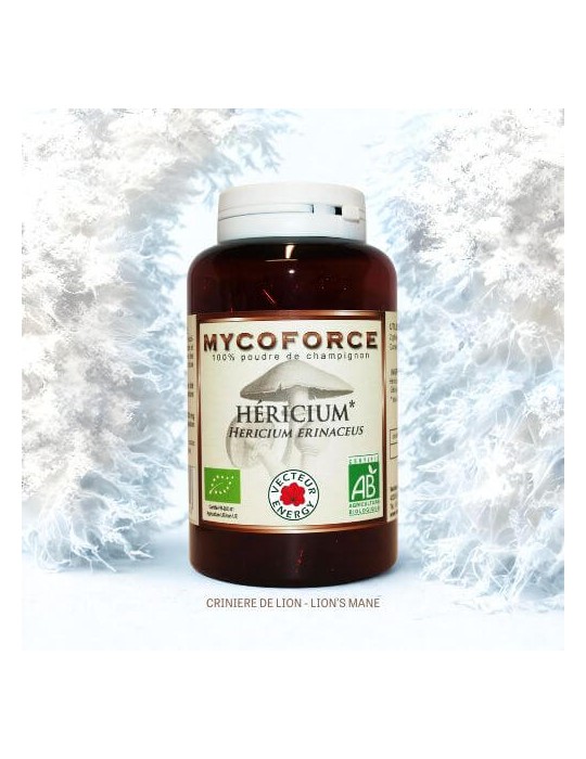HERICIUM - CRINIERE DE LION - LIONS MANE BIO HERICIUM - CRINIERE DE LION - LIONS MANE BIO