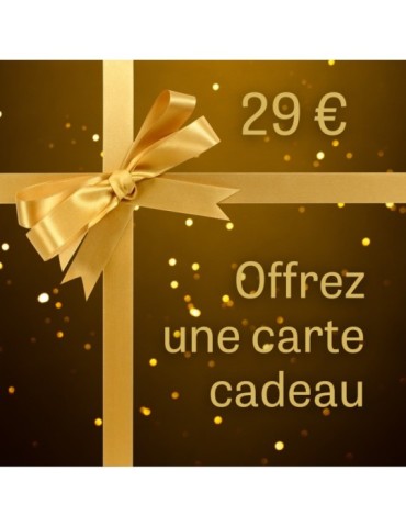 CARTE CADEAU 29 2