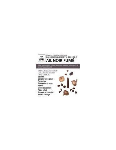AIL NOIR FUME BIO OCNI 2