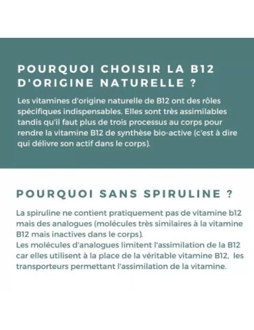 VITAMINE B12 VEGAN BIO 2