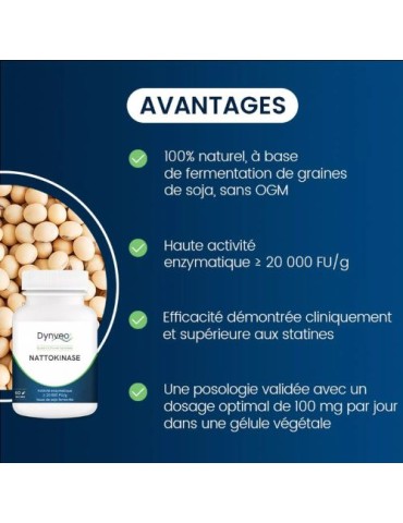 NATTOKINASE 2
