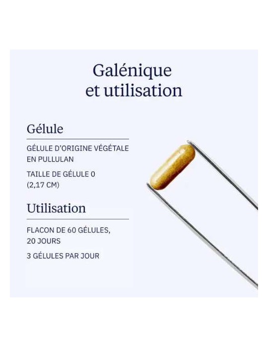 COMPLEXE GLYCEMIE 7