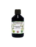 PHYTOSPAGYRIE HARPAGOPHYTUM (GRIFFE DU DIABLE)