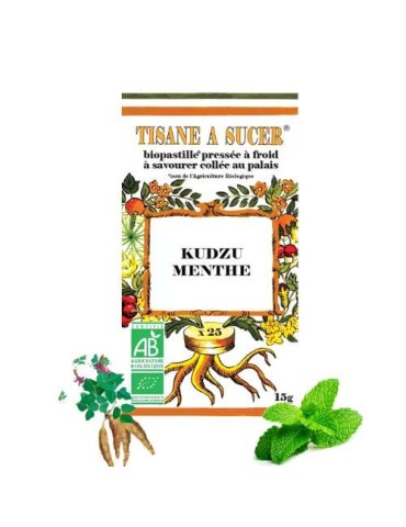PASTILLES KUDZU MENTHE BIO