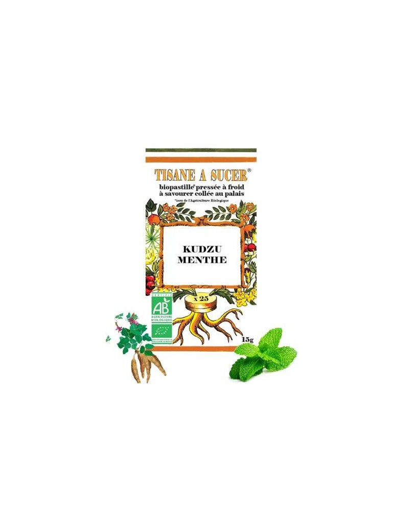 PASTILLES KUDZU MENTHE BIO