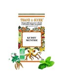 PASTILLES KUDZU MENTHE BIO
