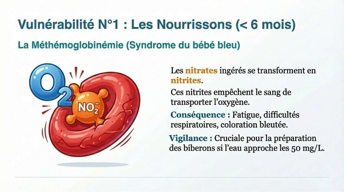 Eau potable : Vigilance pour les nourrissons
